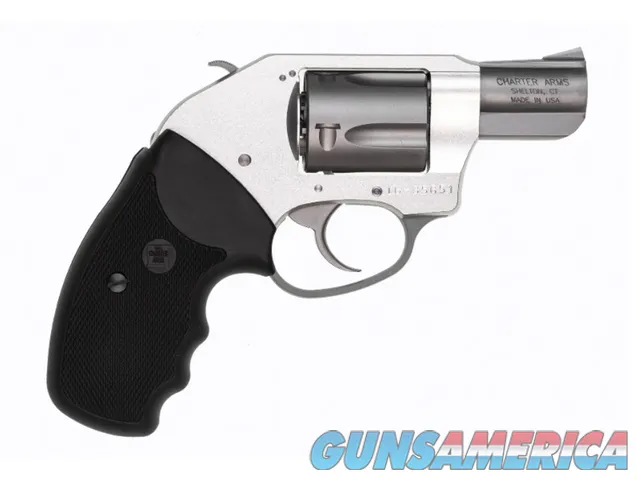 Charter Arms On Duty .38 Special 2" Stai...