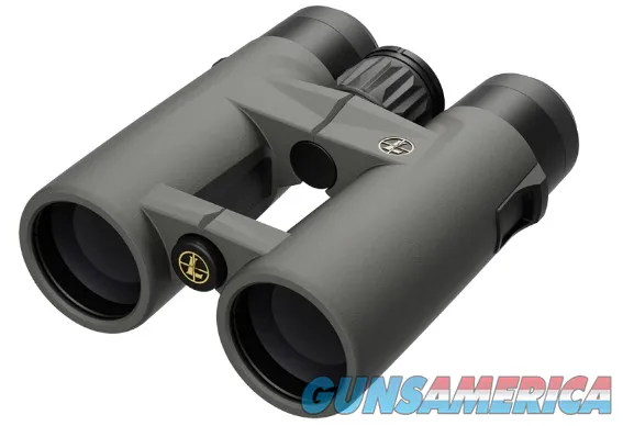Leupold BX-4 Pro Guide HD Gen 2 10x42mm ...