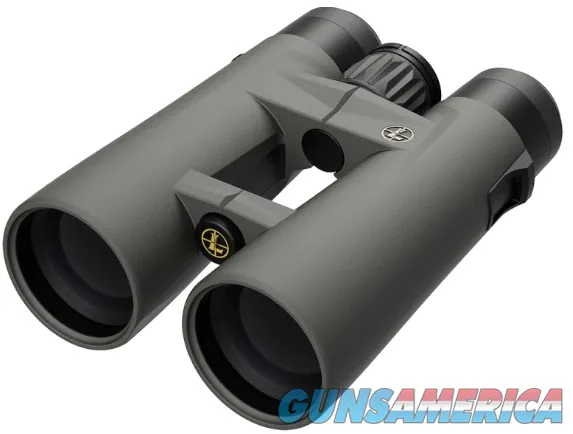 Leupold BX-4 Pro Guide HD Gen 2 12x50mm ...