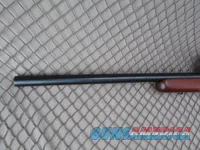 Marlin 917M2 Rifle 17 Mach 2 #96705737