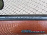 Marlin 917M2 Rifle 17 Mach 2 #96705737