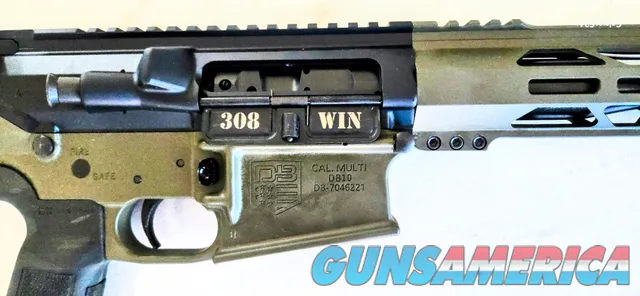 Diamond Back Firearms Carbon DB-10 FREE MAGS