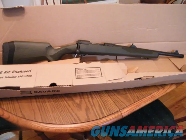 Savage model 110 hog 350 legend