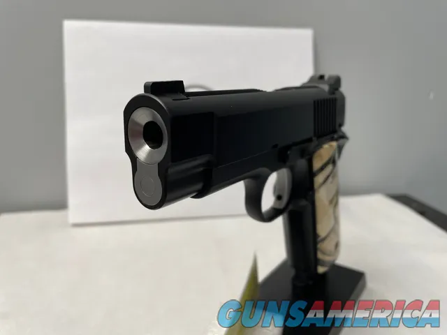 NH CARRY PLUS w/ OFFICER SIZE FRAME 9mm 