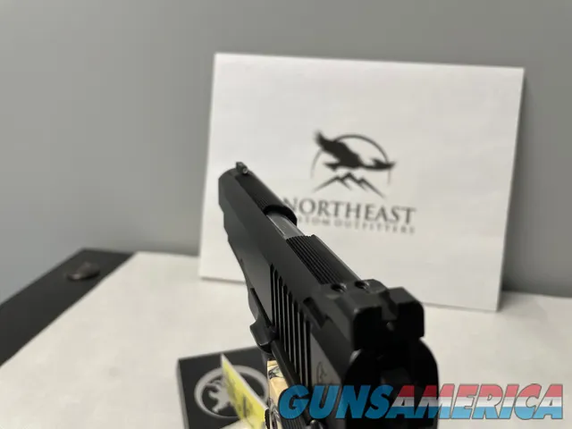 NH CARRY PLUS w/ OFFICER SIZE FRAME 9mm 