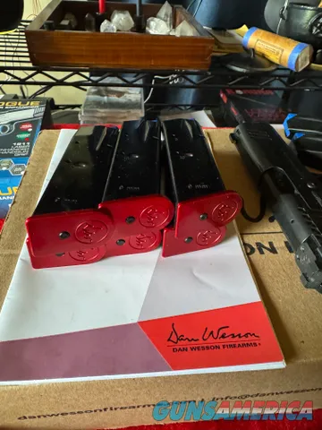 Dan Wesson DWX Compact 9mm with extra magazines