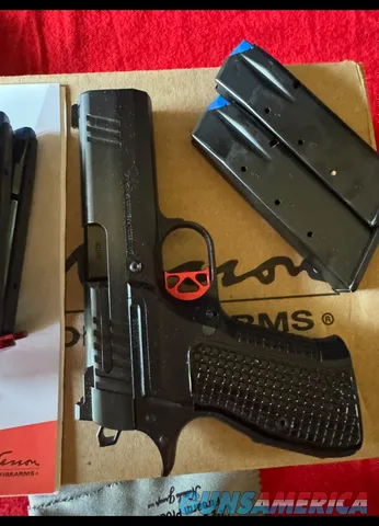 Dan Wesson DWX Compact 9mm with extra ma...