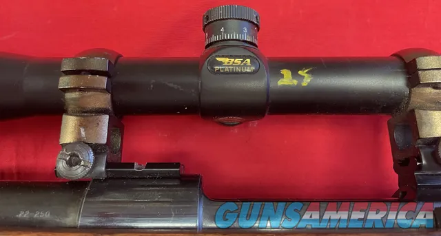 Custom Mauser Action with Apex 22-250 barrel