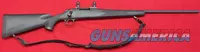 Remington 700 22-250