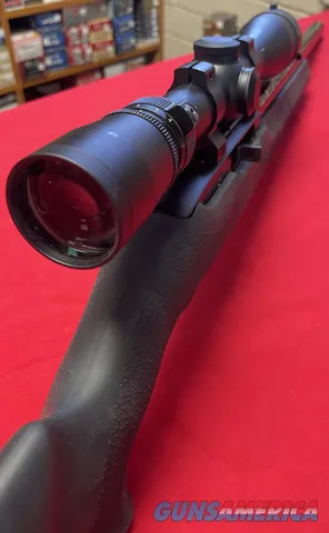 Ruger 10/22 22 LR