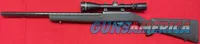 Ruger 10/22 22 LR