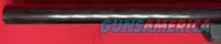 Ruger 10/22 22 LR