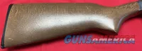 New England Firearms Pardner 20 g