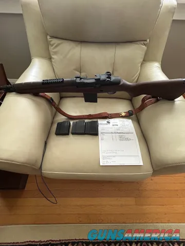 Springfield Armory with 4 mags and sling