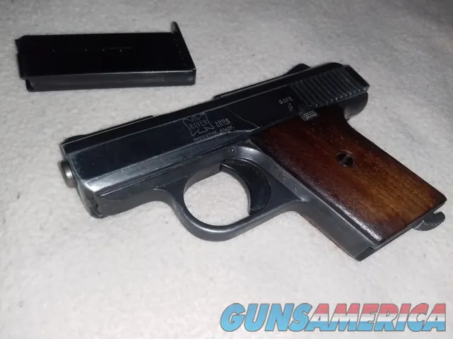 Raven Arms MP-25 .25 ACP Pocket Pistol