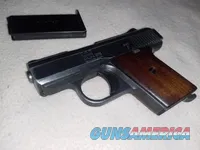 Raven Arms MP-25 .25 ACP Pocket Pistol