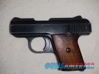 Raven Arms MP-25 .25 ACP Pocket Pistol
