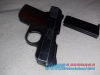 Raven Arms MP-25 .25 ACP Pocket Pistol
