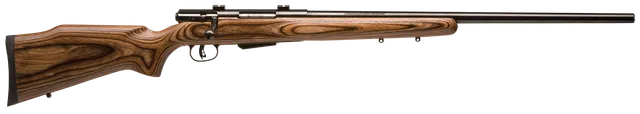Savage 25 Lightweight Varminter .223 Rem...