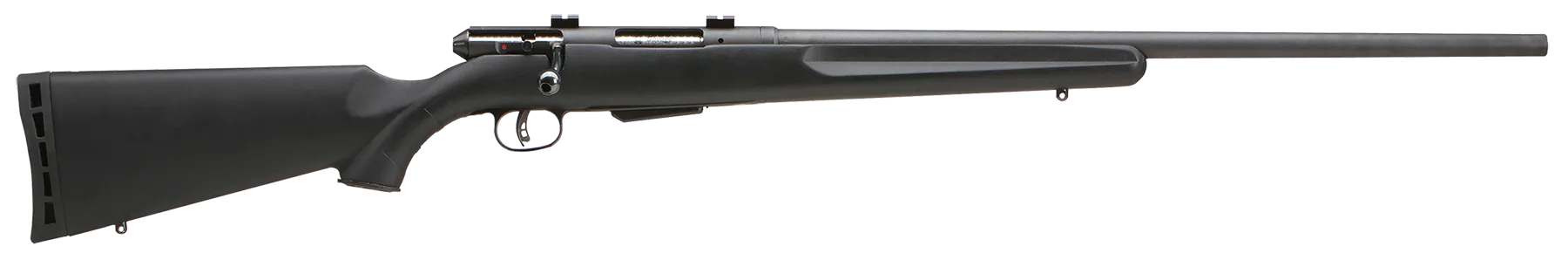 25 Walking Varminter