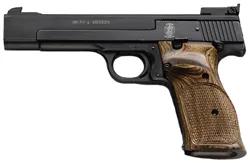 Smith and Wesson41