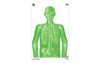 ALLEN COMPANY EZ AIM 12X18 PAPER TGT IMPOSING FIGURES
