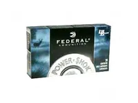 Federal Power-Shok Big Game 375B