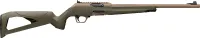 Wildcat 22