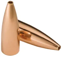 Rifle Varmint TNT Hollow Point 1015