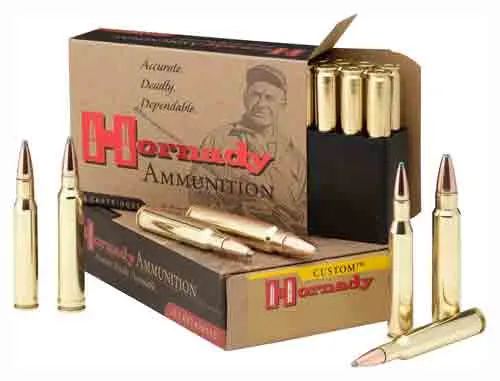 Hornady HORNADY SO 8231 375RUG 270SP 20