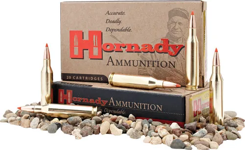 Hornady HORNADY 350 LEGEND 165 FTX 20