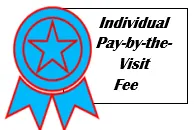 Individual Pay-by-the-Visit Fee