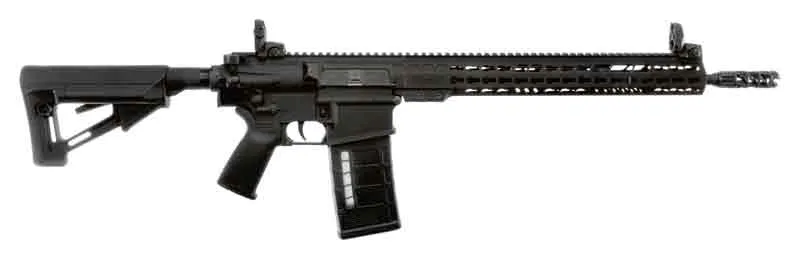 AR-10
