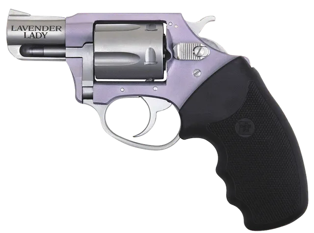 Charter Arms Undercover Undercover