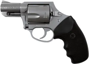 Charter Arms Mag Pug Mag Pug