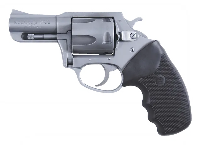 Charter Arms Bulldog Bulldog