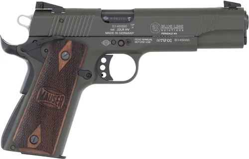 BLG 4110603