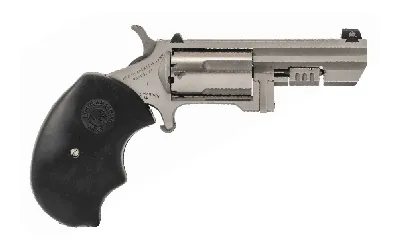 North American Arms NAA RECLUSE 22 WMR 2...