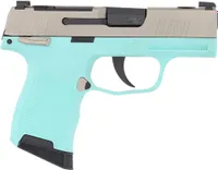 Sig Sauer P365 380 ACP