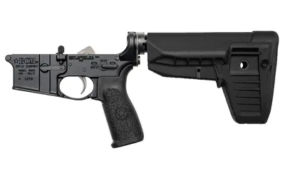 BCM CMPLT LWR RMS SPMD 1 CM BLK BLEM