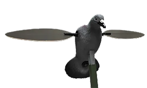 Decoy Pigeon HW2410