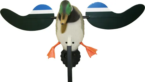 Baby Mojo Drake HW4401