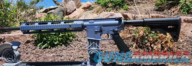 NTS GUNS DD-15 .223 Wylde M-LOK AR-15 Ri...