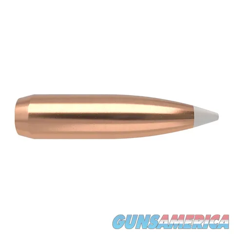 Nosler AccuBond Bonded Core 54825