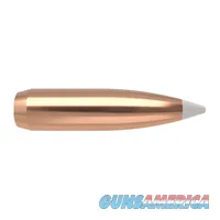 Nosler AccuBond Bonded Core 54825