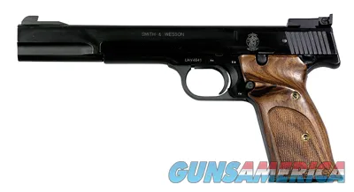 Smith and Wesson41