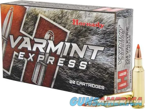 Hornady Varmint Express 81531