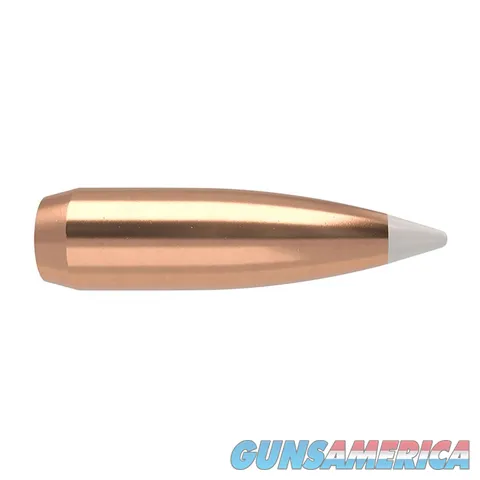 Nosler AccuBond Bonded Core 56719