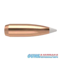 Nosler AccuBond Bonded Core 56719