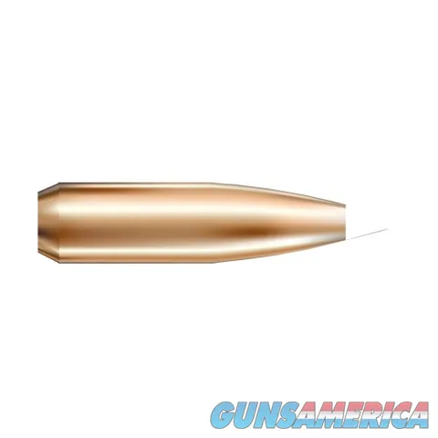 Nosler AccuBond Bonded Core 59992